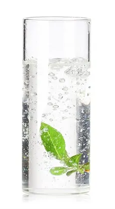 כוס זכוכית בבל גבוה ( ALFA 35CL  ( 3110627