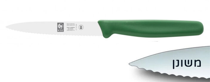 סכין ירקות משונן שפיץ 10 ס"מ ידית פלסטיק ירוקה ICEL