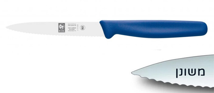 סכין ירקות משונן שפיץ 10 ס"מ ידית פלסטיק כחולה ICEL