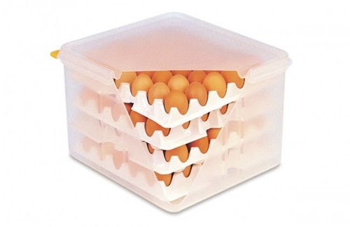 תבנית מיכל אחסון פוליפרופילן 2/3/200 +4 תבניות לביצים עם מכסה אטום ARAVEN